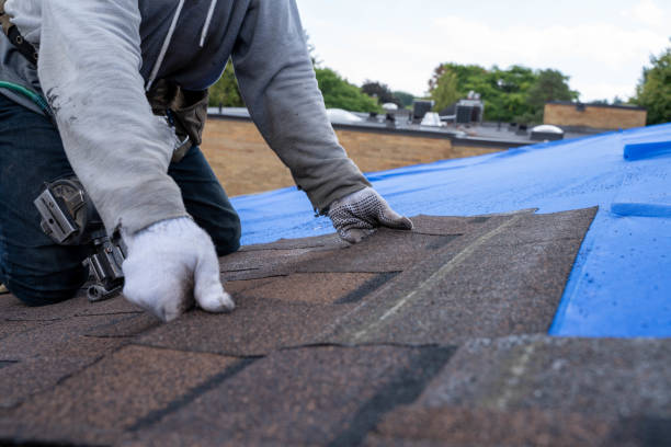 Best Green or Eco-Friendly Roofing Solutions  in Tarkio, MO