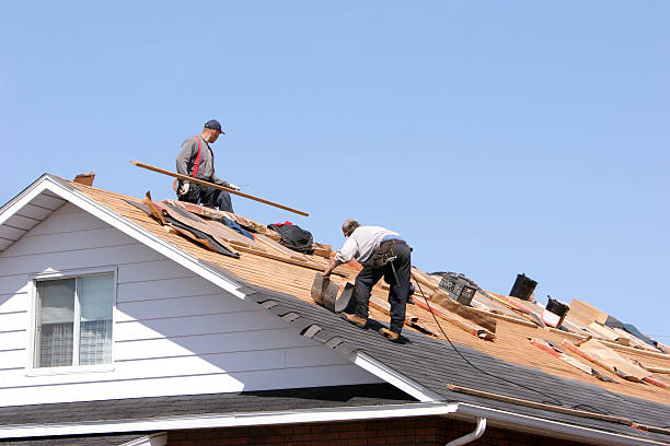 Best Storm Damage Roof Repair  in Tarkio, MO