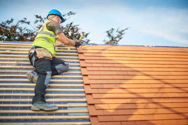 Best Roof Ventilation Installation  in Tarkio, MO